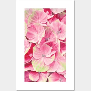 Pink hydrangea Posters and Art